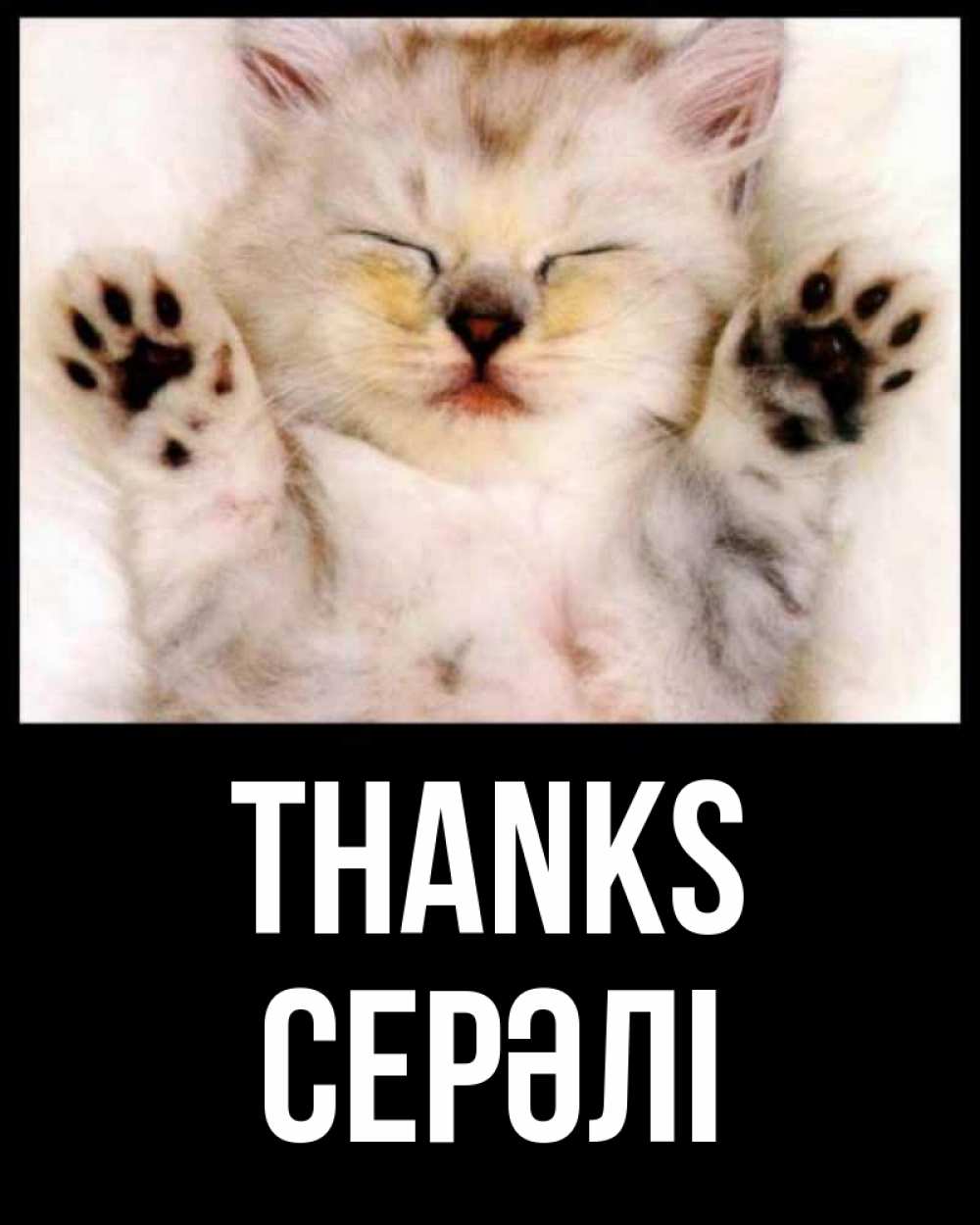 Greetings card с именем, СЕРӘЛІ Thanks маленький котенок Greetings with text for free download 