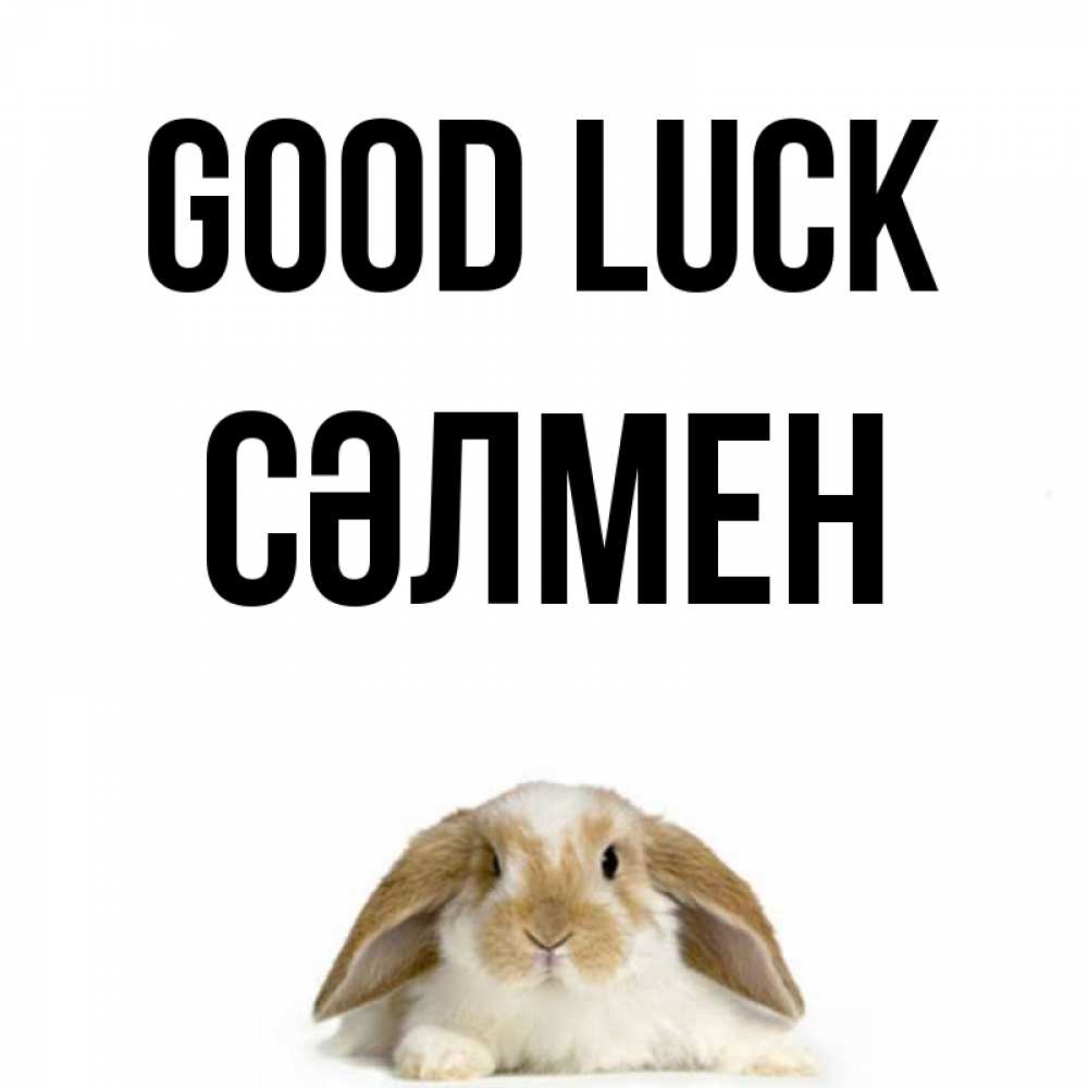 Greetings card с именем, СӘЛМЕН Good luck открытки с произвольным текстом который можно вставить в открытку и создать ее самостоятельно бесплатно онлайн Greetings with text for free download 
