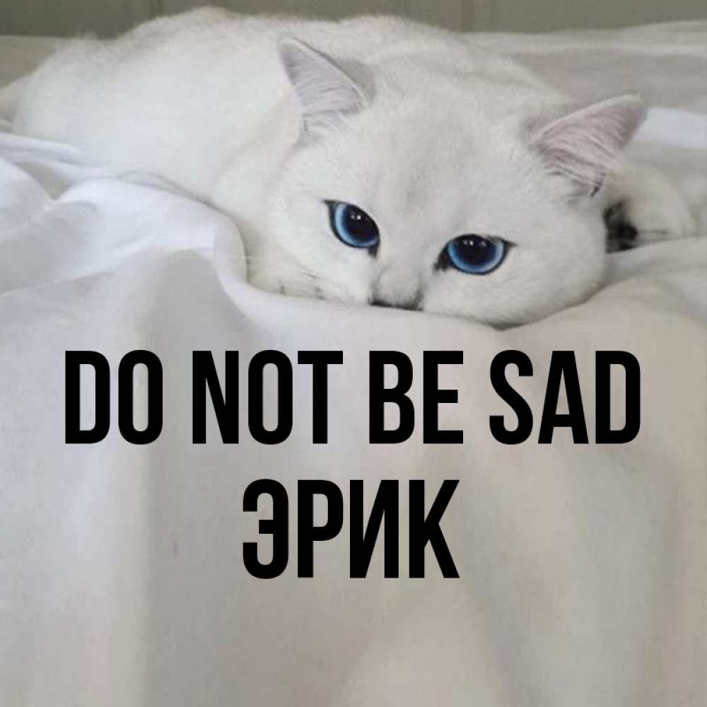 Greetings card с именем, Эрик Do not be sad Голубоглазая кошка Greetings with text for free download 