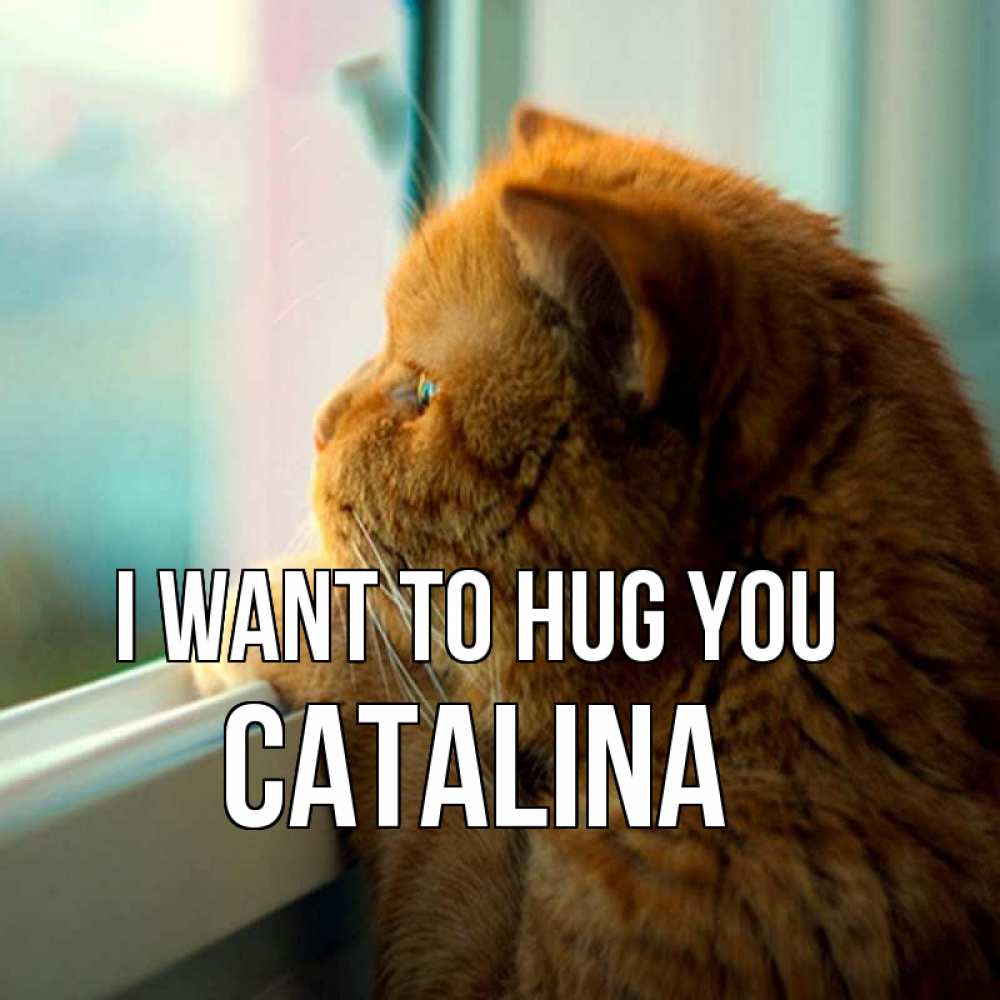 Greetings card с именем, Catalina I want to hug you большой огромный рыжий котяра Greetings with text for free download 