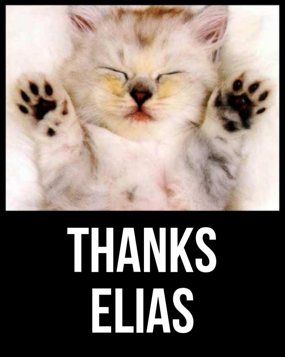 Greetings card с именем, Elias Thanks маленький котенок Greetings with text for free download 