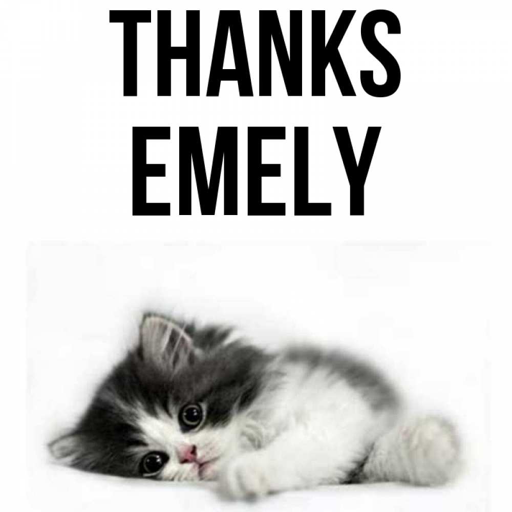 Greetings card с именем, Emely Thanks черный и белый кот Greetings with text for free download 
