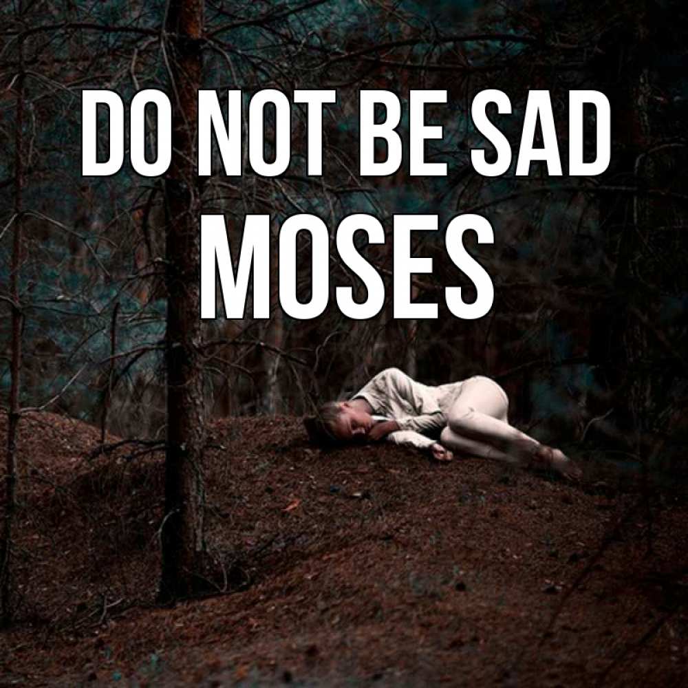 Greetings card с именем, Moses Do not be sad лес Greetings with text for free download 