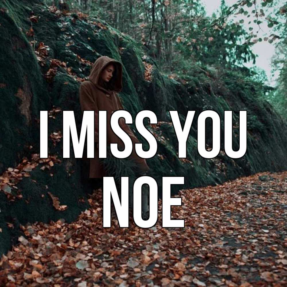 Greetings card с именем, Noe I miss you скука 1 Greetings with text for free download 