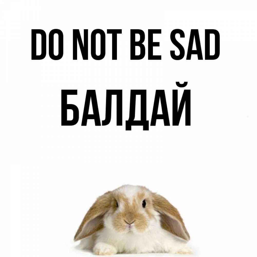 Greetings card с именем, БАЛДАЙ Do not be sad коричнево белый заяц с большими ушками Greetings with text for free download 