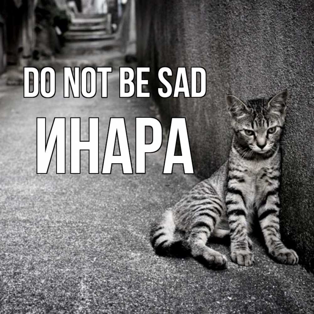 Greetings card с именем, Инара Do not be sad скучающий котик Greetings with text for free download 