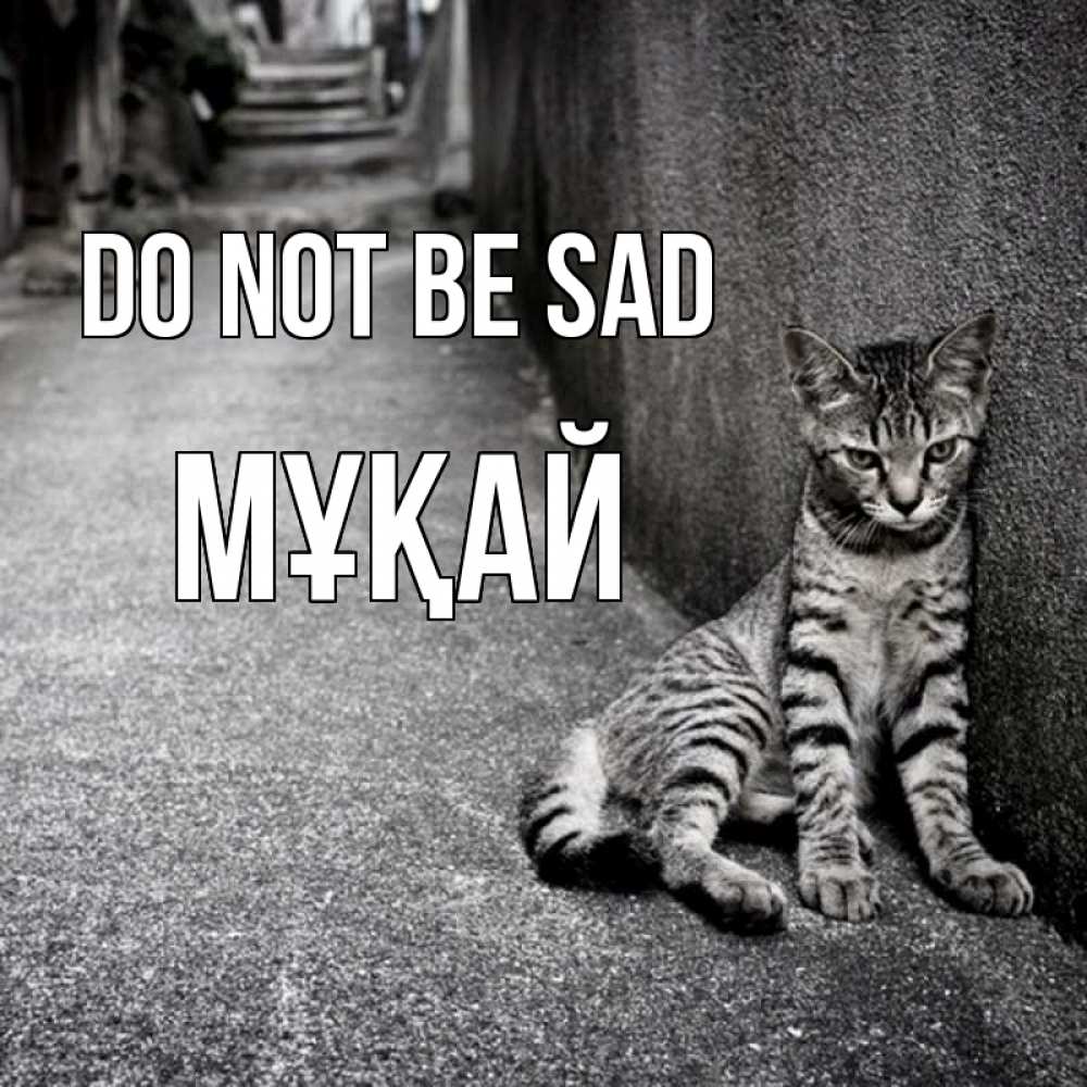 Greetings card с именем, Мұқай Do not be sad скучающий котик Greetings with text for free download 