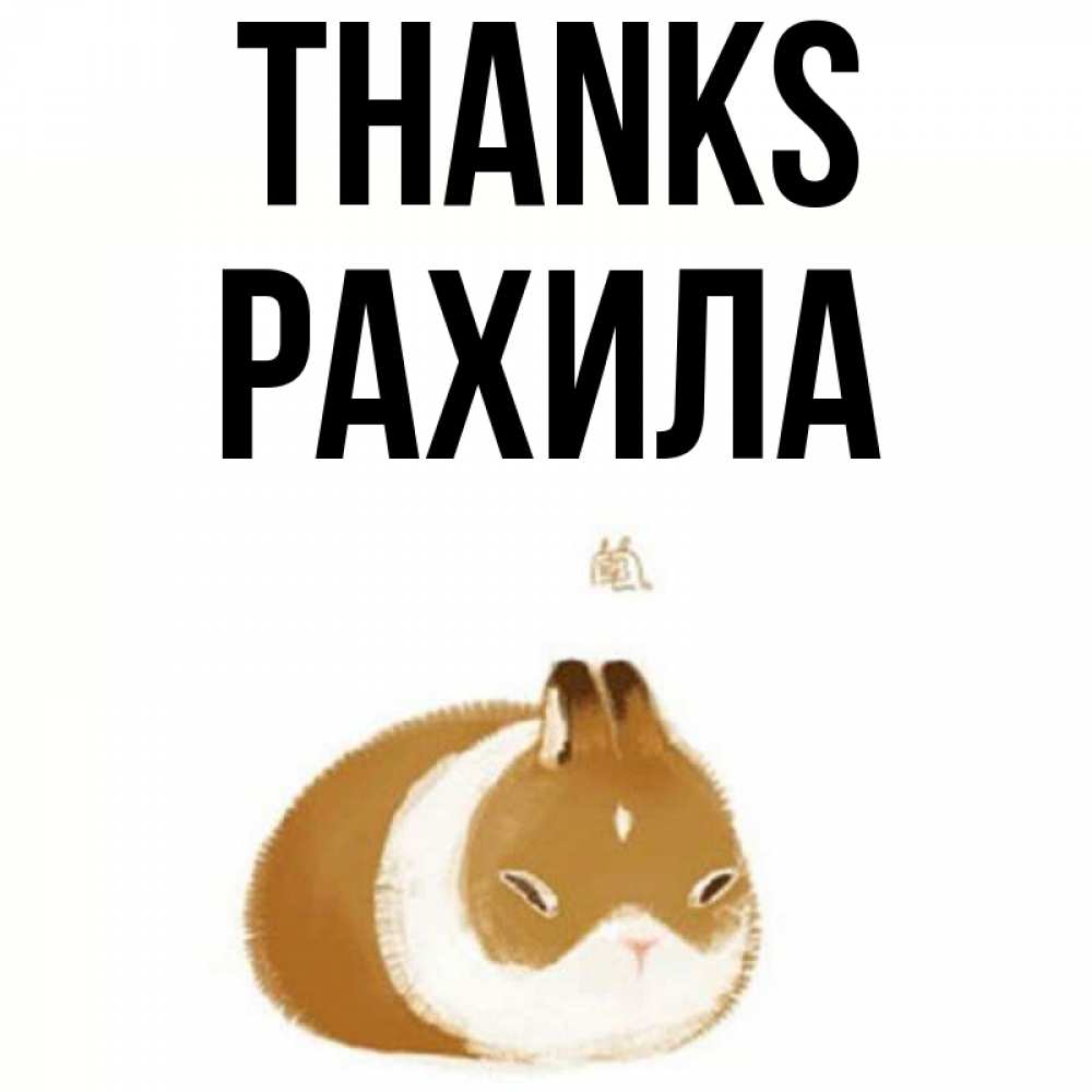 Greetings card с именем, РАХИЛА Thanks коричнево белый домашний питомец Greetings with text for free download 