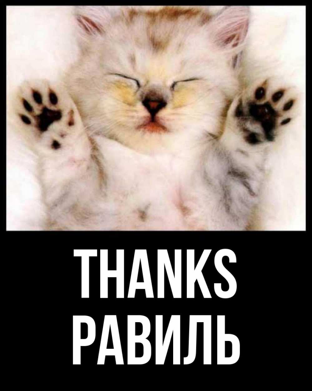 Greetings card с именем, Равиль Thanks маленький котенок Greetings with text for free download 
