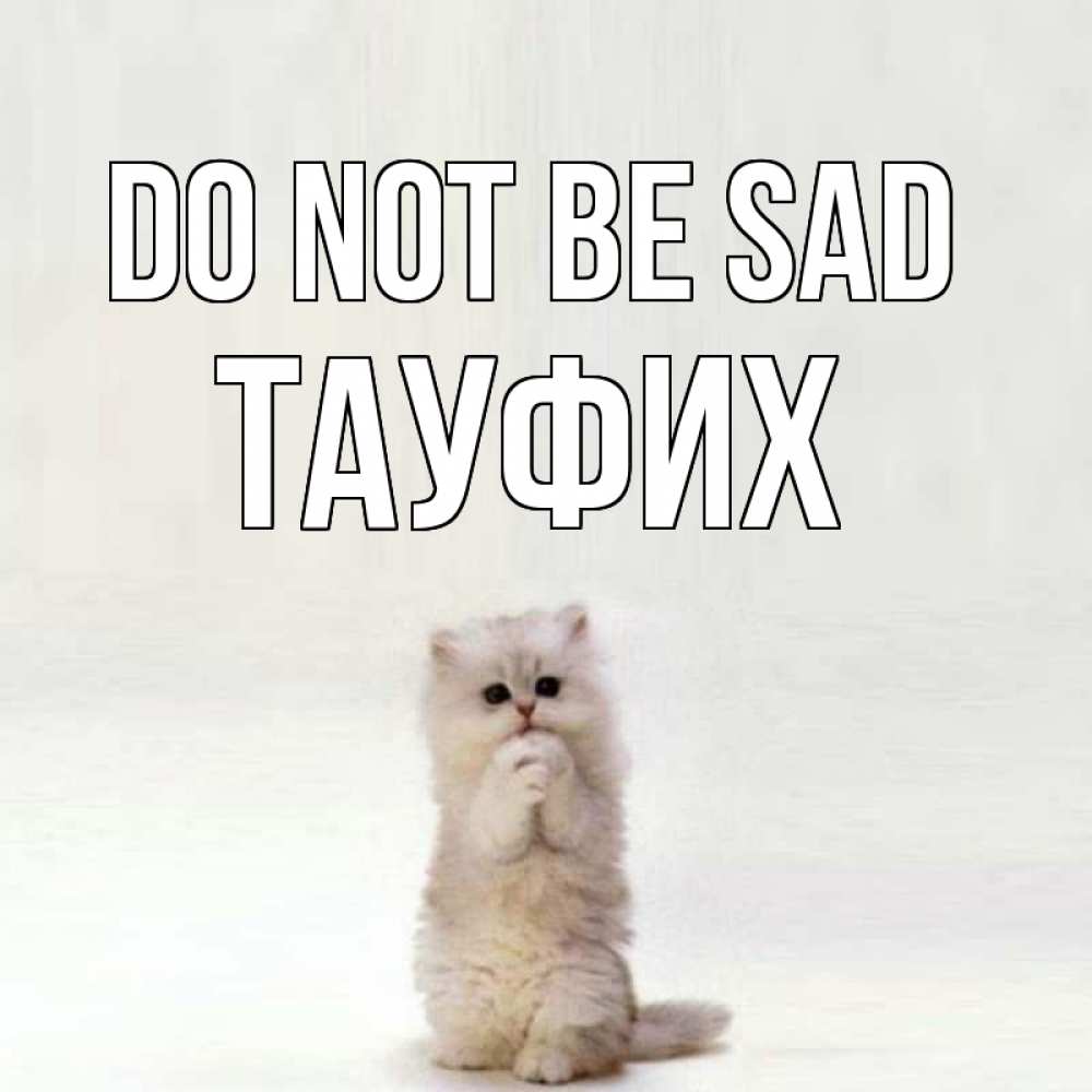 Greetings card с именем, ТАУФИХ Do not be sad грустный кот Greetings with text for free download 