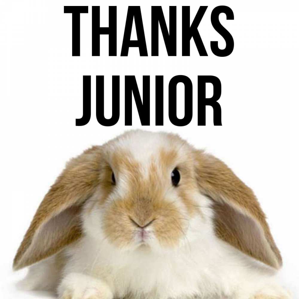 Greetings card с именем, Junior Thanks коричнево белый заяц Greetings with text for free download 