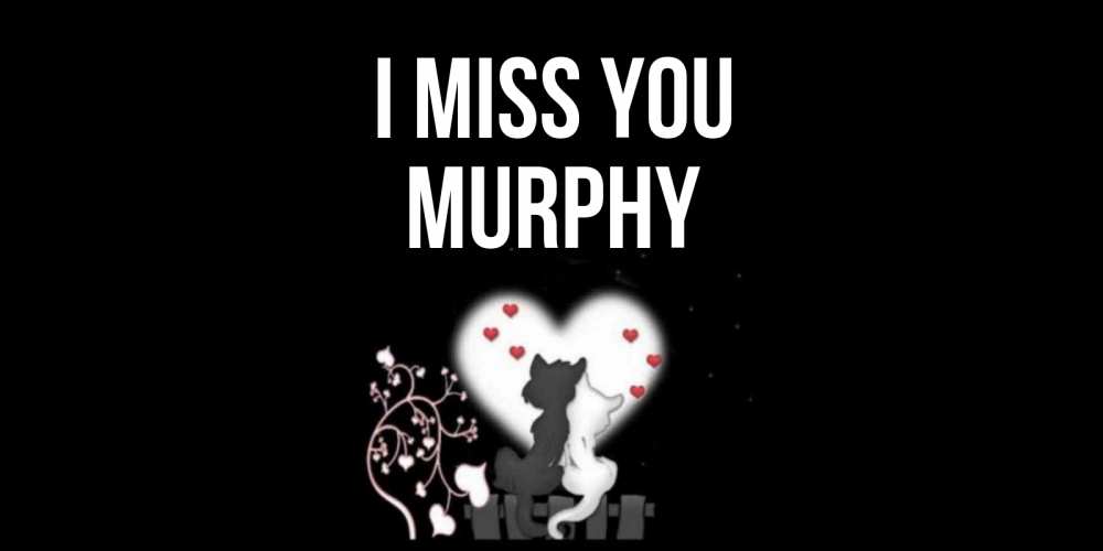 Greetings card с именем, Murphy I miss you коты Greetings with text for free download 