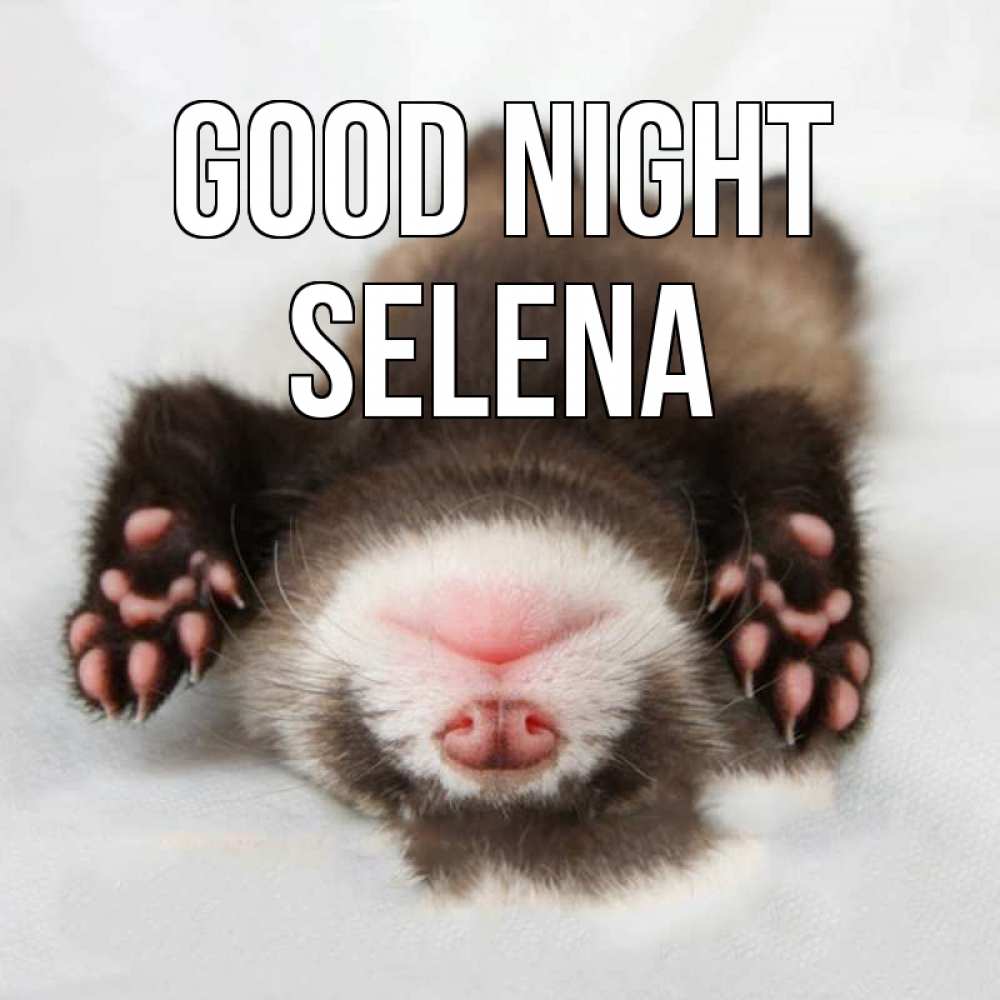 Greetings card с именем, Selena Good night зверек Greetings with text for free download 