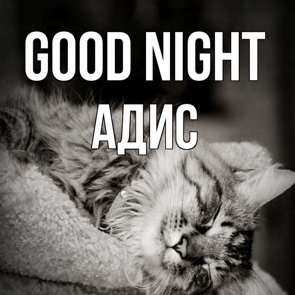 Greetings card с именем, Адис Good night котярик пушистый Greetings with text for free download 