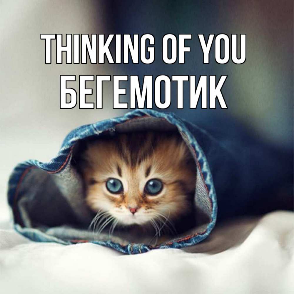 Greetings card с именем, Бегемотик Thinking of you мне без тебя плохо Greetings with text for free download 