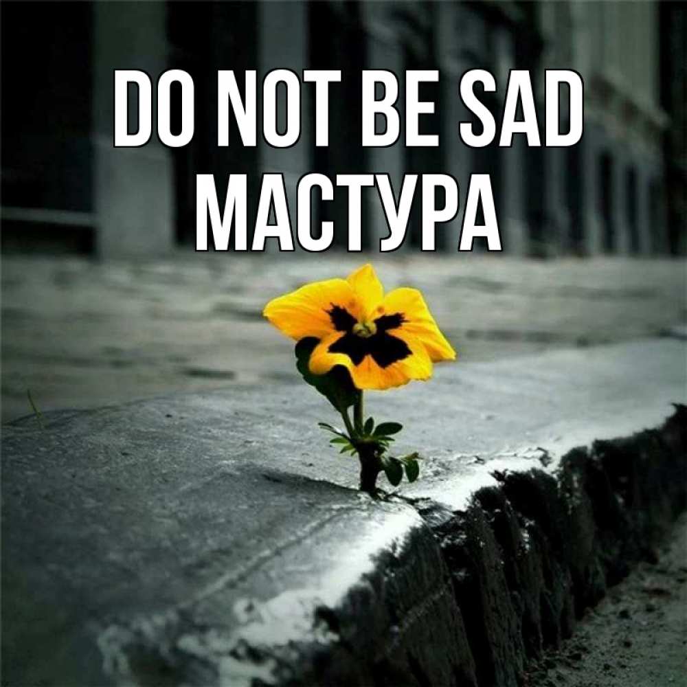 Greetings card с именем, МАСТУРА Do not be sad не сдавайся Greetings with text for free download 