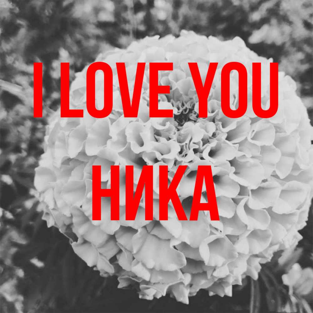 Greetings card с именем, Ника I love you подпись Greetings with text for free download 