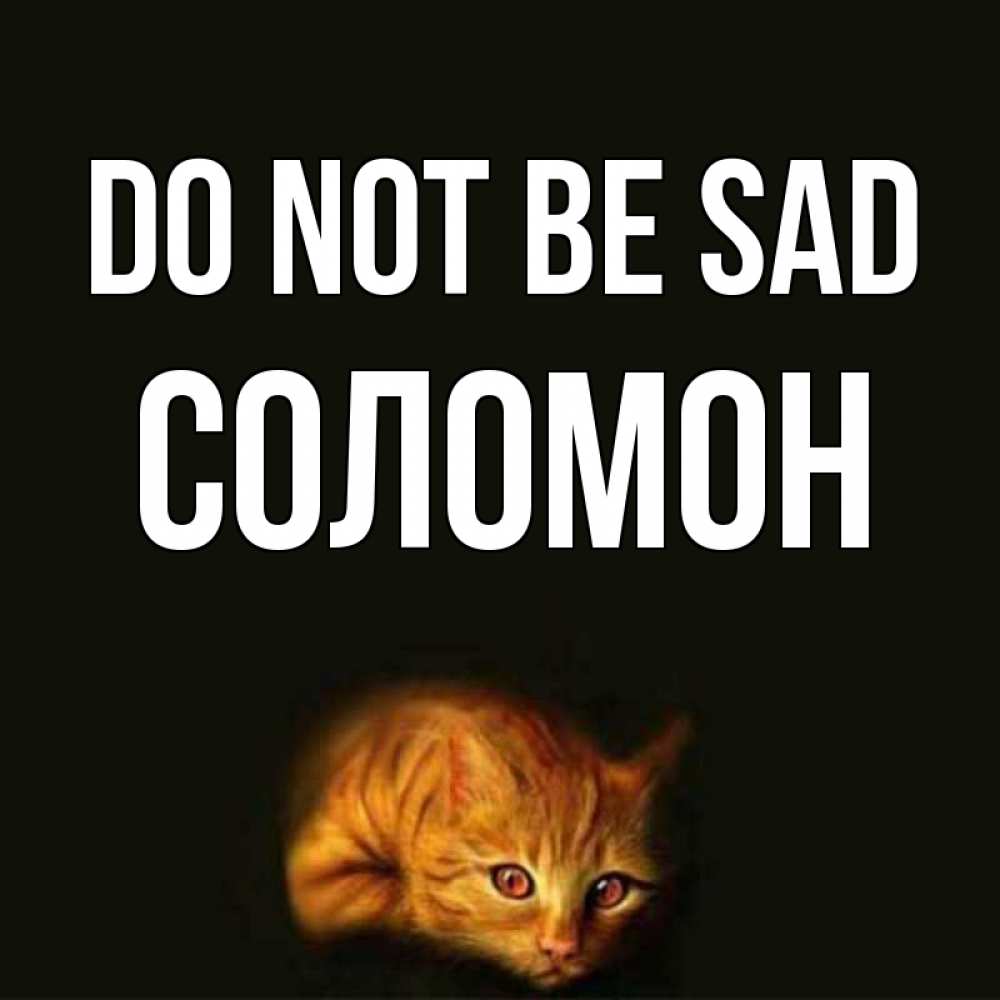 Greetings card с именем, Соломон Do not be sad лежащий кот в темноте Greetings with text for free download 