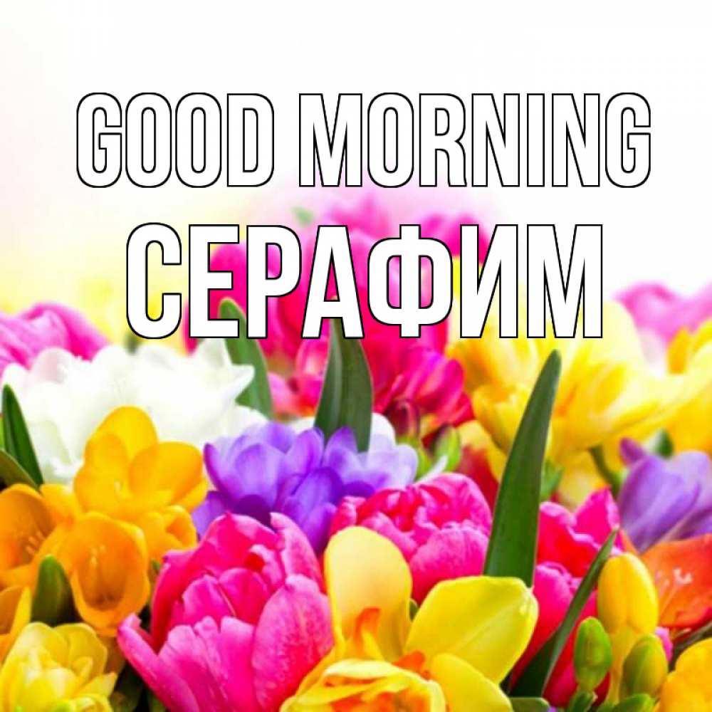 Greetings card с именем, Серафим Good morning создать открытку со свое подписью Greetings with text for free download 