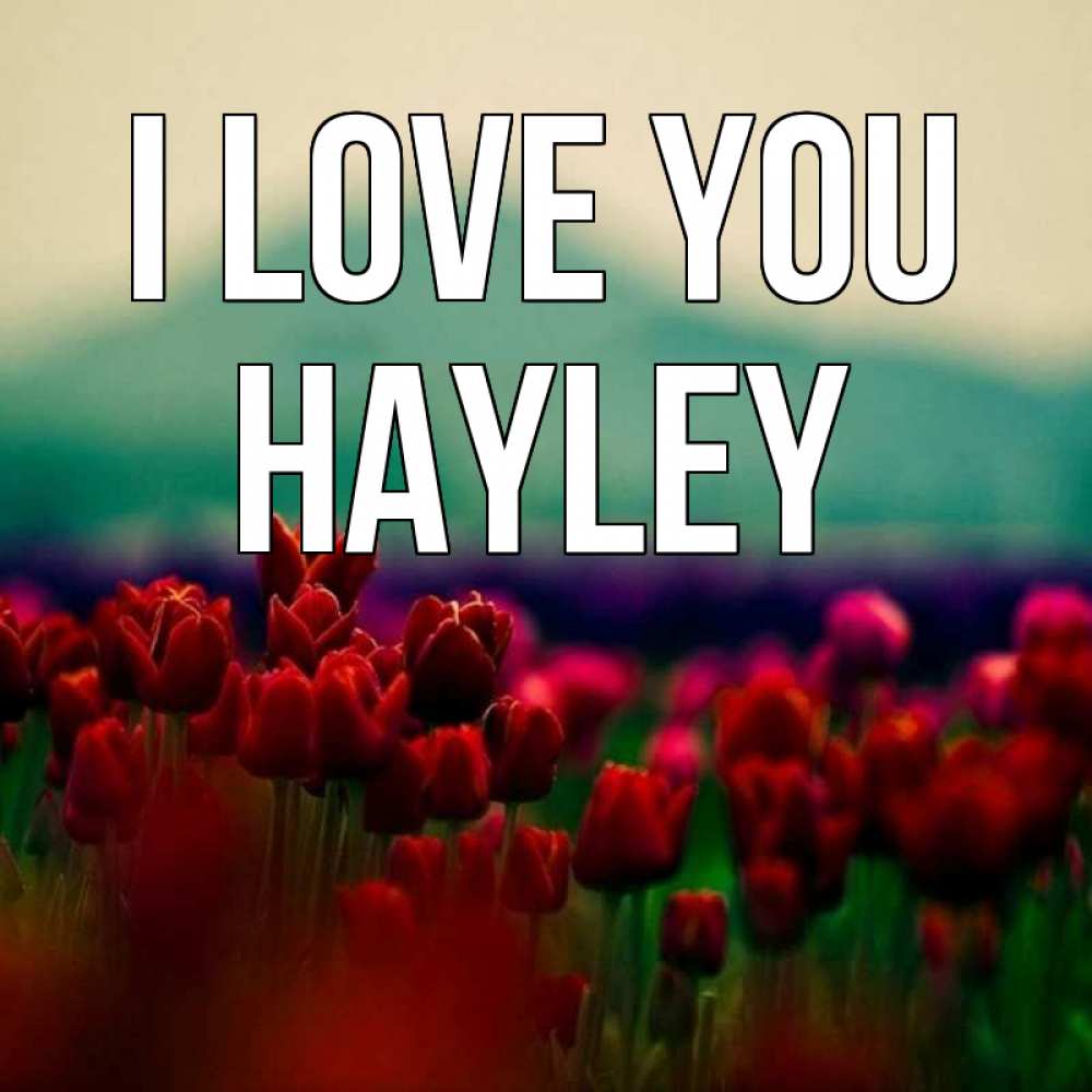 Greetings card с именем, Hayley I love you тюльпаны 4 Greetings with text for free download 