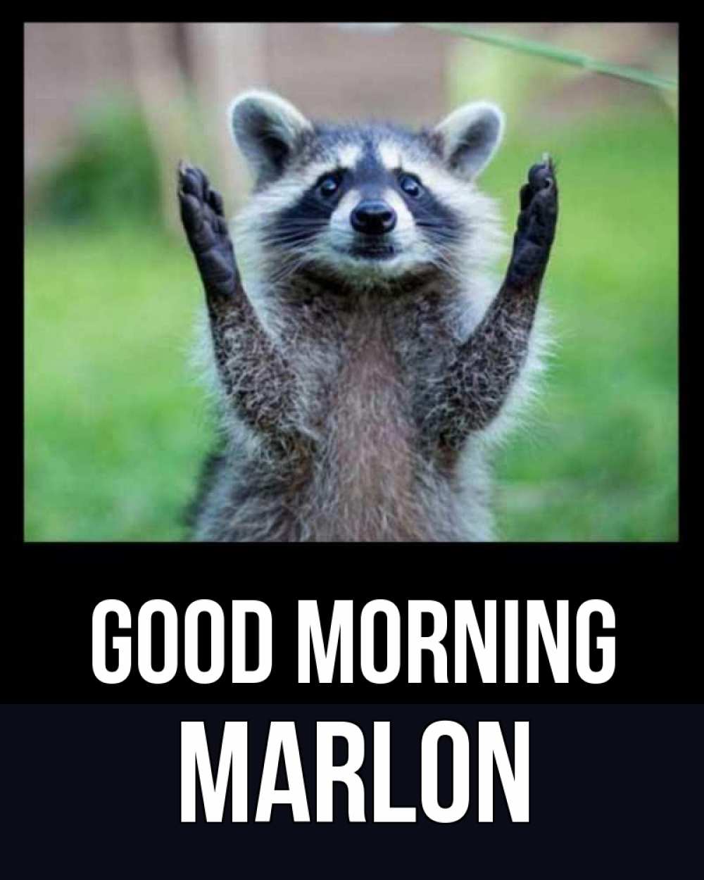 Greetings card с именем, Marlon Good morning хорошее настроение утречком Greetings with text for free download 