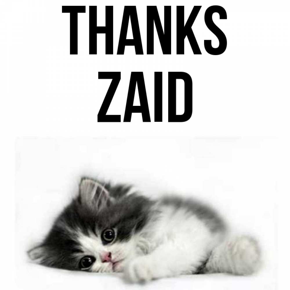 Greetings card с именем, Zaid Thanks черный и белый кот Greetings with text for free download 
