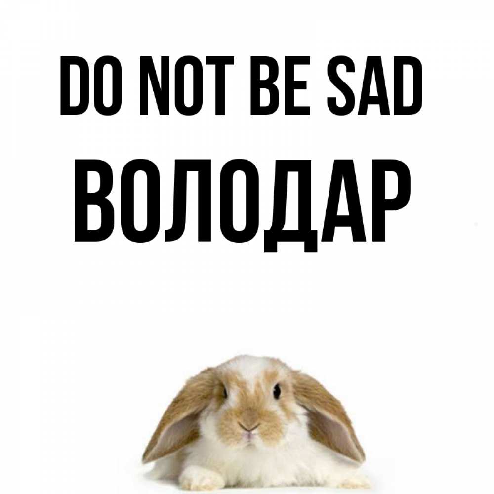 Greetings card с именем, Володар Do not be sad коричнево белый заяц с большими ушками Greetings with text for free download 