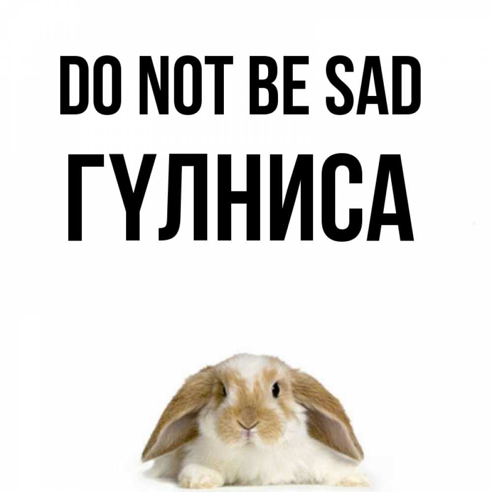 Greetings card с именем, ГҮЛНИСА Do not be sad коричнево белый заяц с большими ушками Greetings with text for free download 