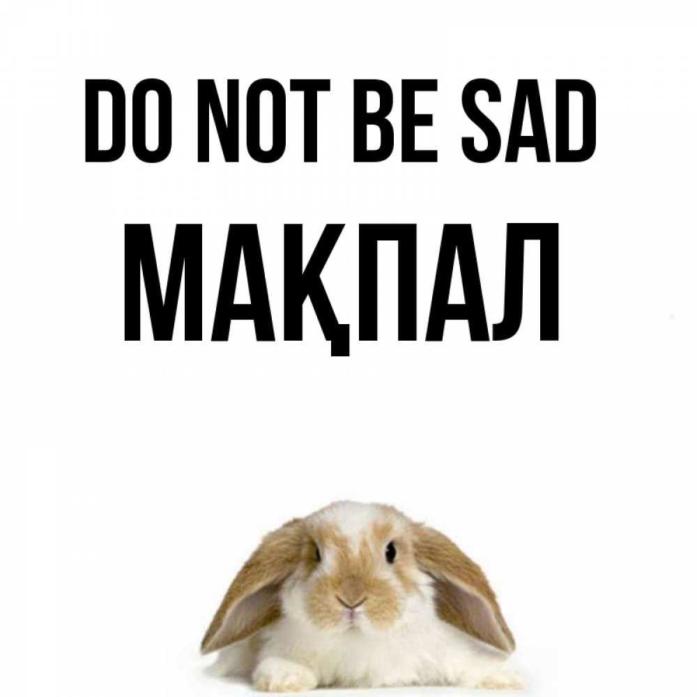 Greetings card с именем, МАҚПАЛ Do not be sad коричнево белый заяц с большими ушками Greetings with text for free download 