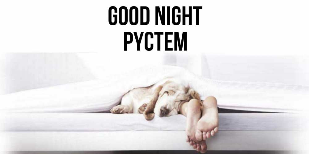Greetings card с именем, РҮСТЕМ Good night кровать с собакой пожелание сладких снов и спокойной ночи Greetings with text for free download 