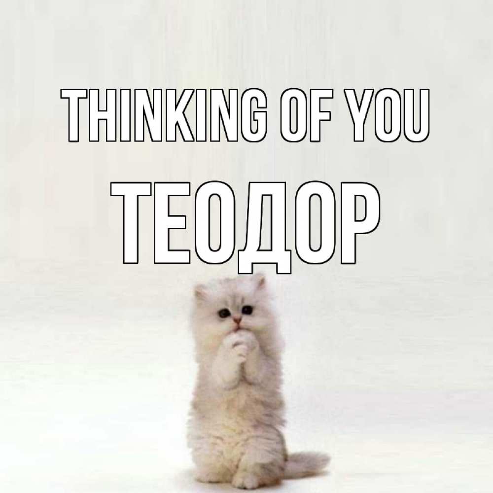Greetings card с именем, Теодор Thinking of you кот стоит на задних лапах Greetings with text for free download 