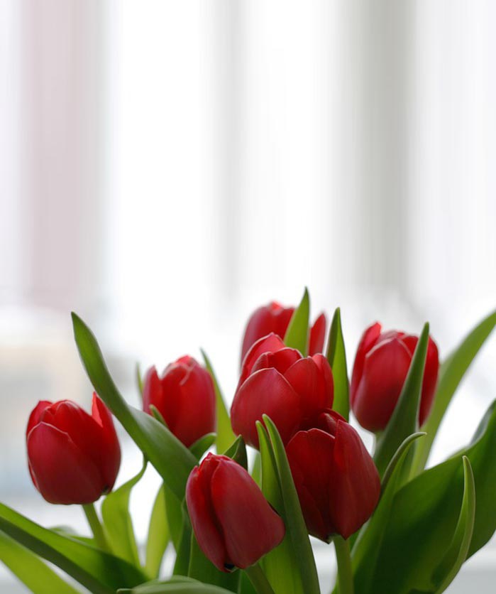 Открытка с цветами  полевые цветы  happy women`s day 