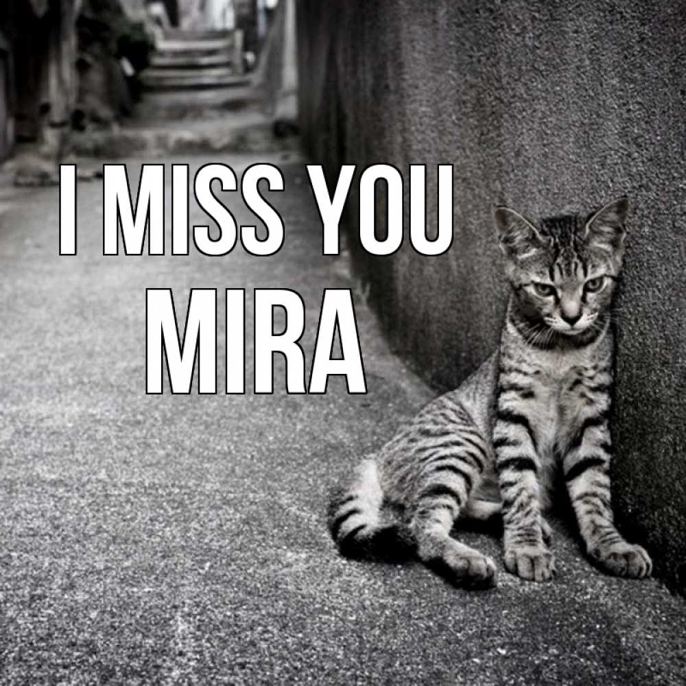 Greetings card с именем, Mira I miss you одиноко котику Greetings with text for free download 