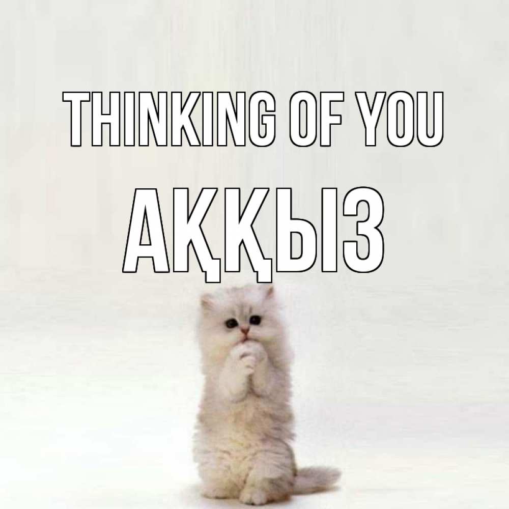 Greetings card с именем, АҚҚЫЗ Thinking of you кот стоит на задних лапах Greetings with text for free download 