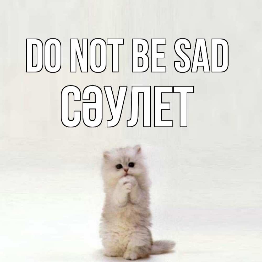 Greetings card с именем, СӘУЛЕТ Do not be sad грустный кот Greetings with text for free download 