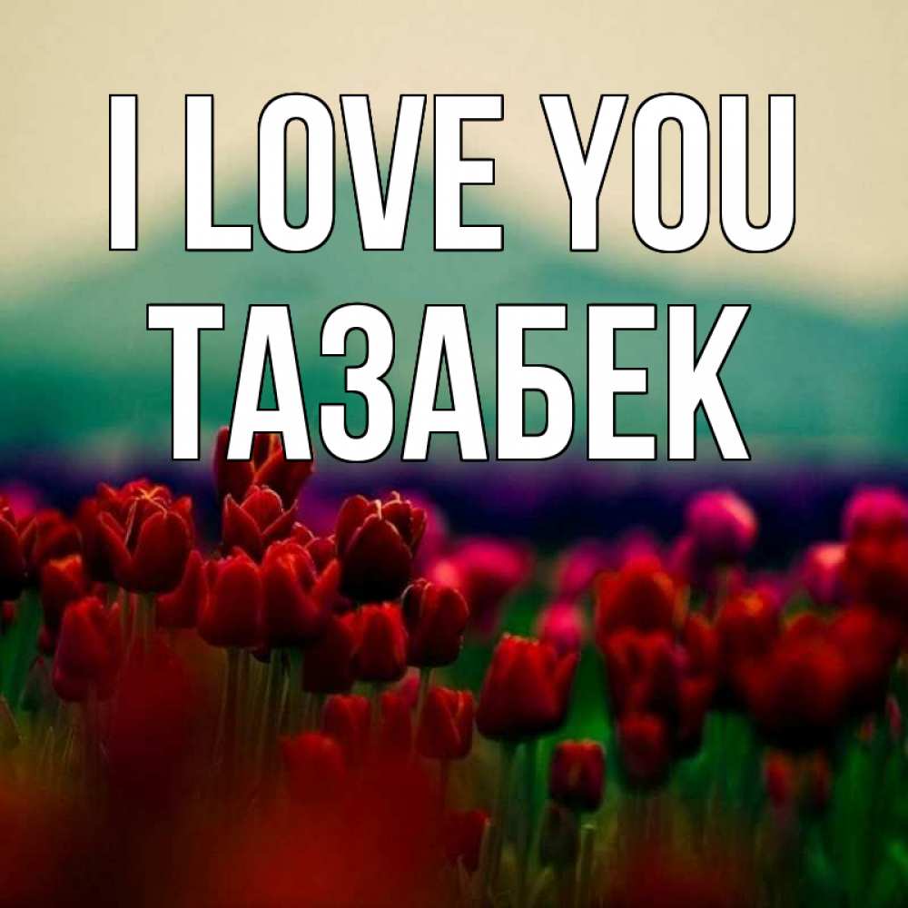 Greetings card с именем, ТАЗАБЕК I love you тюльпаны 4 Greetings with text for free download 