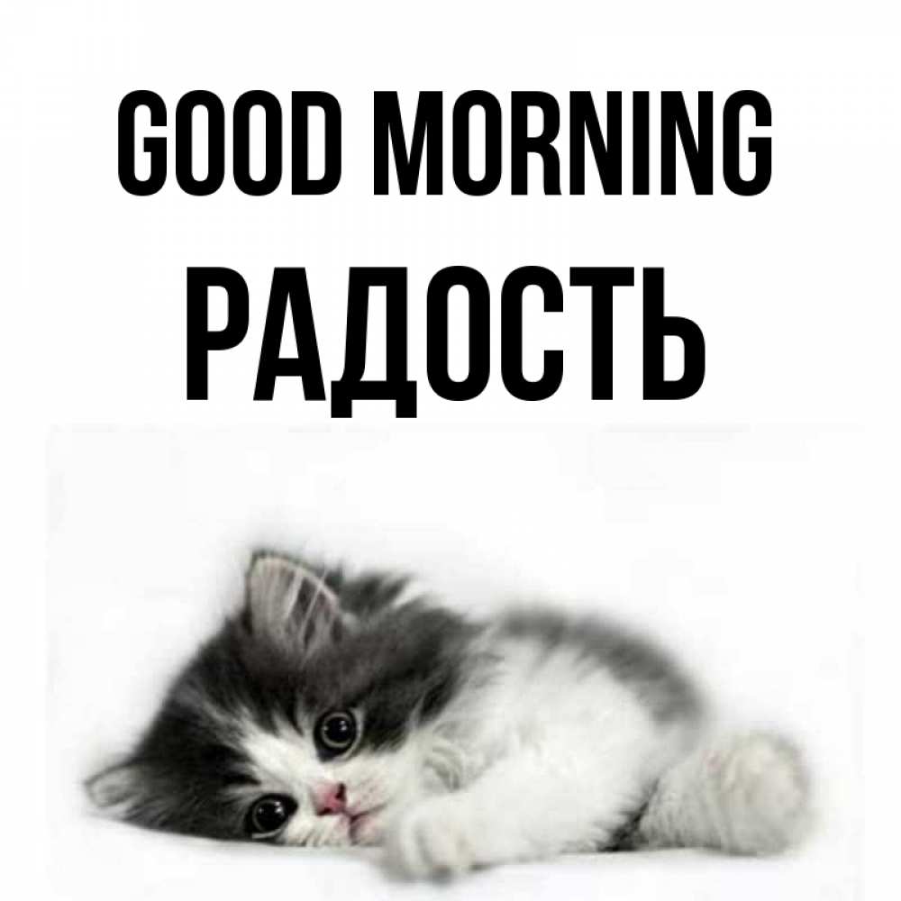 Greetings card с именем, Радость Good morning кот лапки Greetings with text for free download 