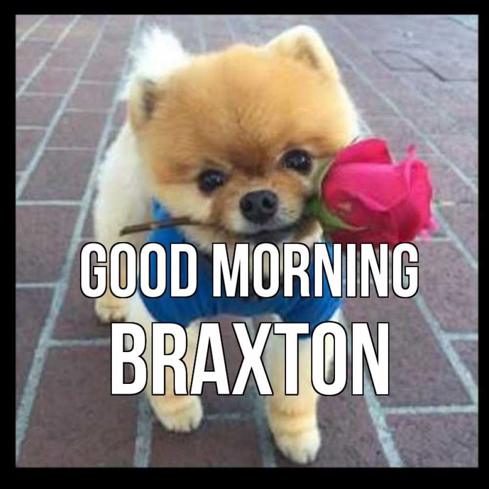 Greetings card с именем, Braxton Good morning роза в зубах Greetings with text for free download 