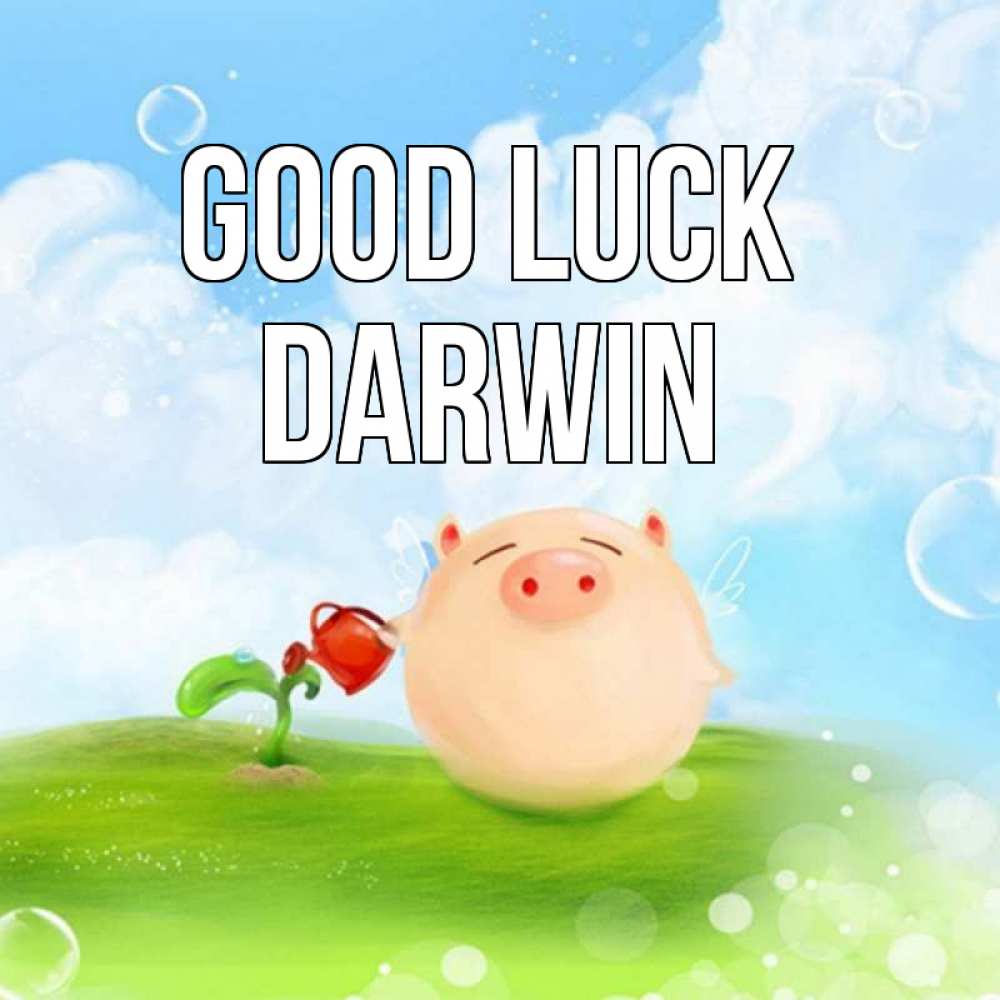 Greetings card с именем, Darwin Good luck поросенок поливает цветок. летнее настроение Greetings with text for free download 