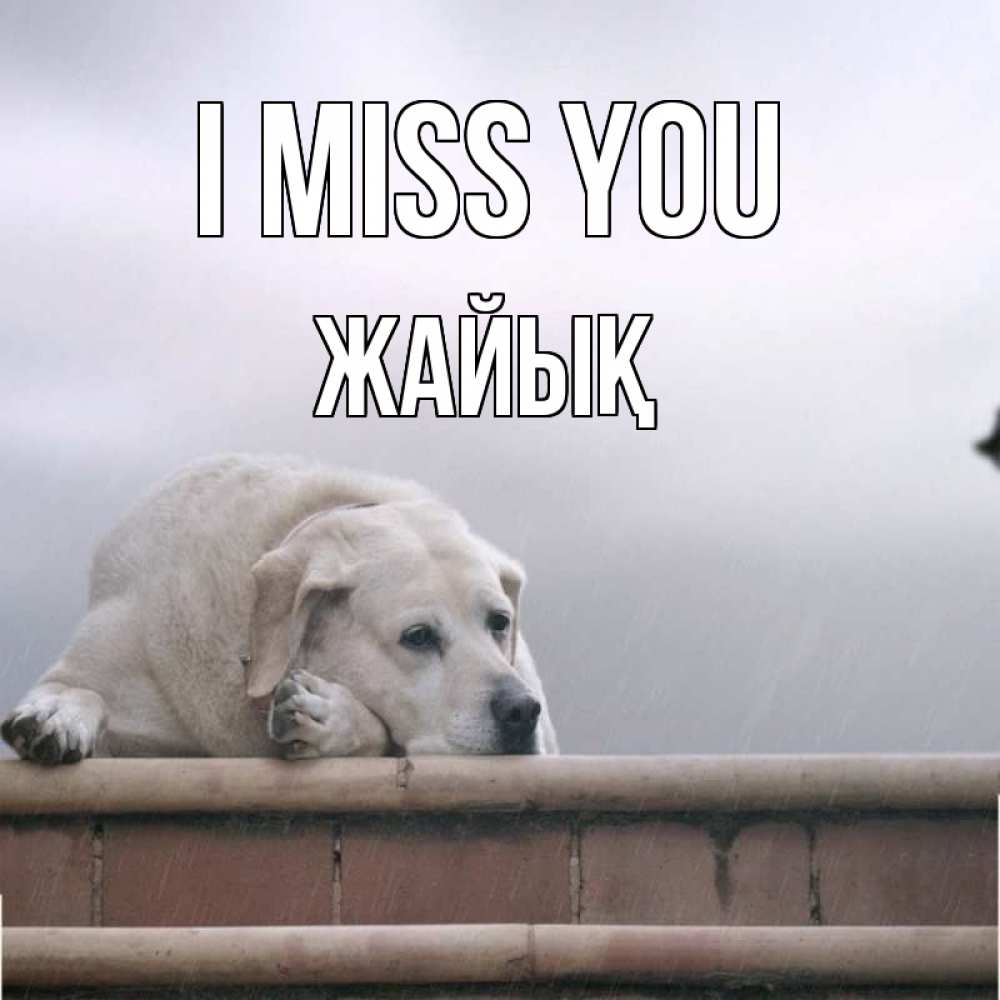 Greetings card с именем, Жайық I miss you ждет Greetings with text for free download 