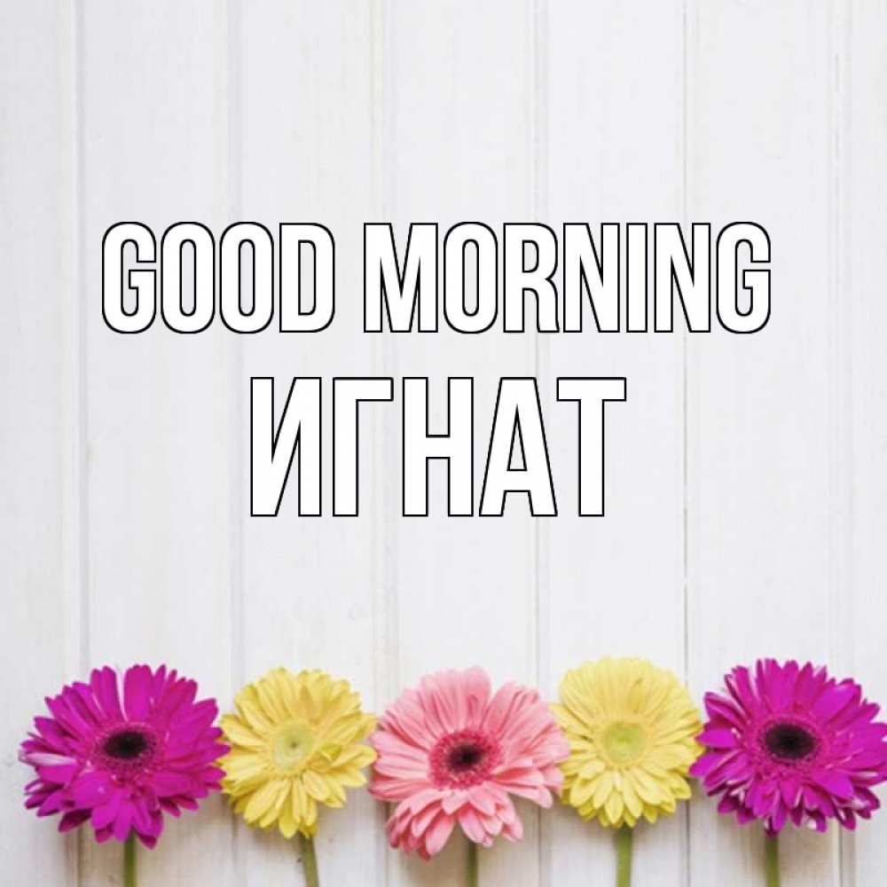 Greetings card с именем, Игнат Good morning красный желтый и розовый цветок Greetings with text for free download 