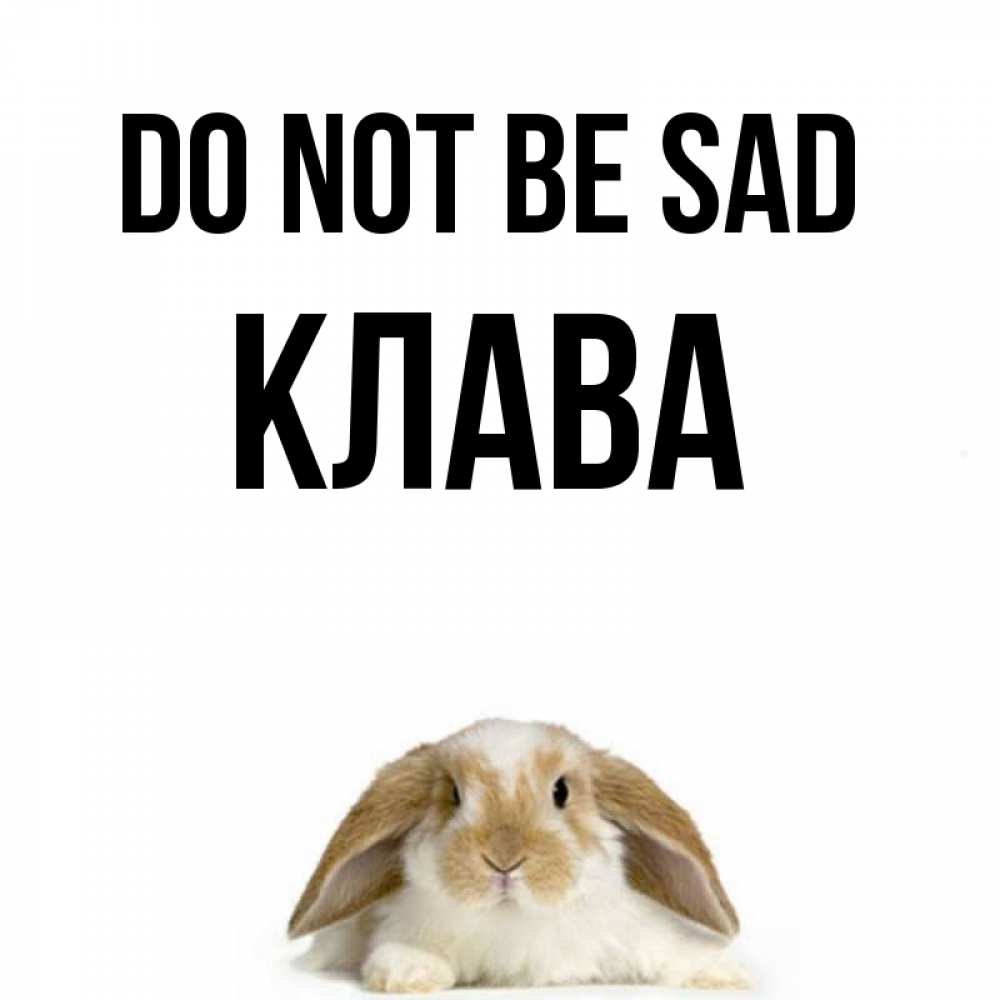 Greetings card с именем, Клава Do not be sad коричнево белый заяц с большими ушками Greetings with text for free download 