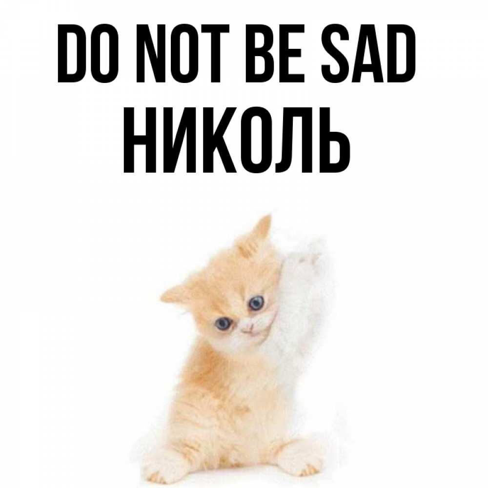 Greetings card с именем, Николь Do not be sad просящий кот Greetings with text for free download 