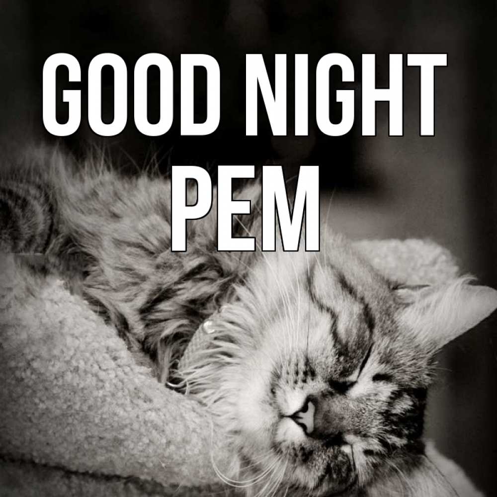 Greetings card с именем, Рем Good night котярик пушистый Greetings with text for free download 