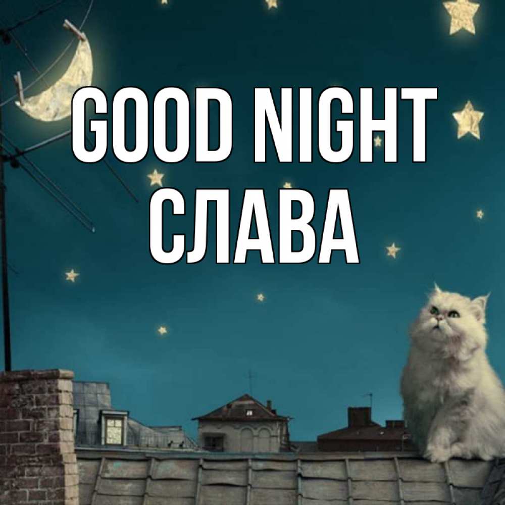 Greetings card с именем, Слава Good night белый кот сидит на крыше Greetings with text for free download 
