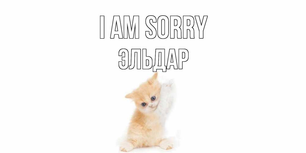 Greetings card с именем, Эльдар I am sorry кот Greetings with text for free download 