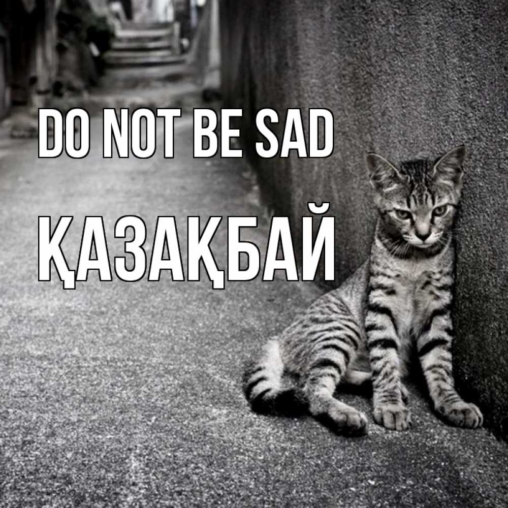 Greetings card с именем, Қазақбай Do not be sad скучающий котик Greetings with text for free download 