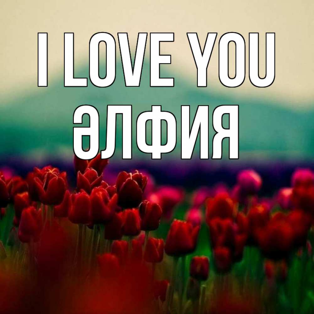 Greetings card с именем, ӘЛФИЯ I love you тюльпаны 4 Greetings with text for free download 