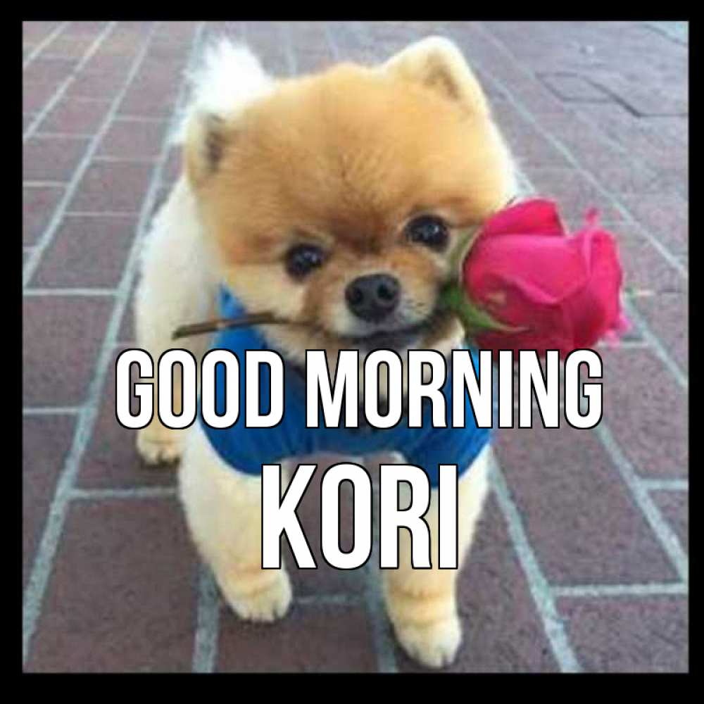 Greetings card с именем, Kori Good morning роза в зубах Greetings with text for free download 