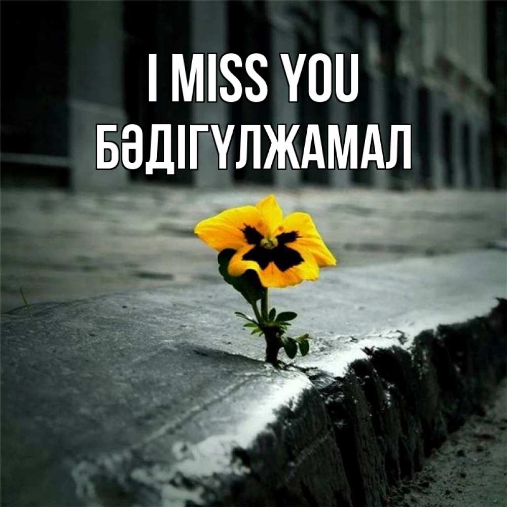 Greetings card с именем, БӘДІГҮЛЖАМАЛ I miss you надеюсь будет лучше Greetings with text for free download 